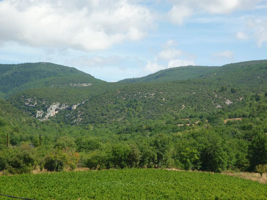 La Fontaine Des Noyers Villa แซงต์-ซาตูร์แน็ง-ดัปต์ ภายนอก รูปภาพ